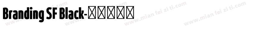 Branding SF Black字体转换
